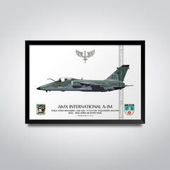 AMX INTERNACIONAL A-1M, FAB 5520, 1º/16º GAV - comprar online