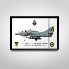 McDONNELL DOUGLAS AF-1 SKYHAWK, N-1001 Apresetação - comprar online