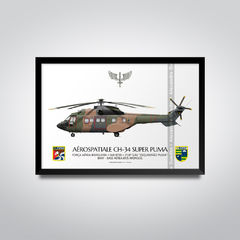 AEROSPATIALE CH-34 SUPER PUMA, FAB 8730, 3º/8º GAV - comprar online