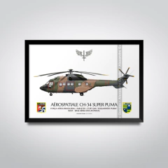 AEROSPATIALE CH-34 SUPER PUMA, FAB 8730, 3º/8º GAV - comprar online