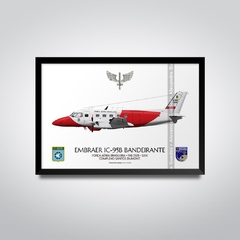 EMBRAER IC-95B BANDEIRANTE, FAB 2328, GEIV - comprar online
