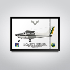NEIVA 360 / U-42 REGENTE, FAB 2995, BAAF - comprar online