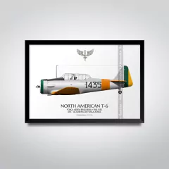 NORTH AMERICAN T-6, FAB 1435, AFA - comprar online