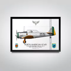 NORTH AMERICAN AT-6D, FAB 1531, ERA 51 - comprar online