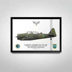 NORTH AMERICAN AT-6D, FAB 1543, ERA 42 - comprar online
