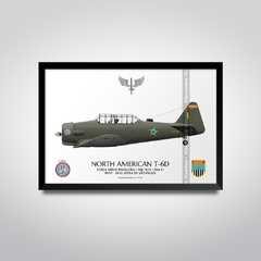 NORTH AMERICAN T-6D, FAB 1616, ERA 41 - comprar online