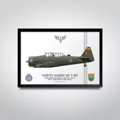 NORTH AMERICAN T-6D, FAB 1616, ERA 41 - comprar online