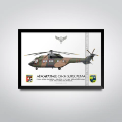 AEROSPATIALE CH-34 SUPER PUMA, FAB 8738, 3º/8º GAV - comprar online