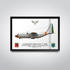 LOCKHEED HERCULES C-130E, FAB 2450 - comprar online