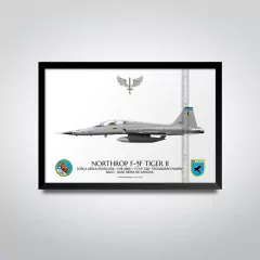 NORTHROP F-5F TIGER II, FAB 4806, 1º/14º GAV - buy online