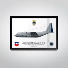 LOCKHEED HERCULES C-130H, FAC 996 - comprar online