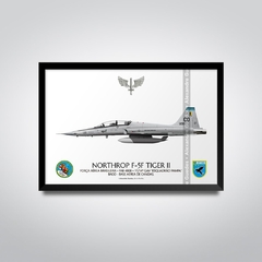 NORTHROP F-5F TIGER II, FAB 4808, 1º/14º GAV - comprar online