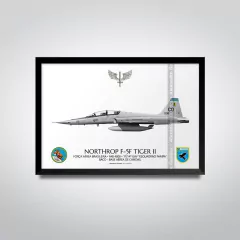 NORTHROP F-5F TIGER II, FAB 4808, 1º/14º GAV - comprar online