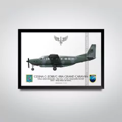 CESSNA C-98A GRAND CARAVAN, FAB 2732, 2º ETA - comprar online