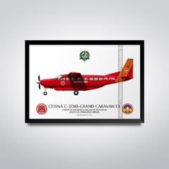 CESSNA 208B EX GRAND CARAVAN - PR-PML - comprar online
