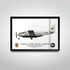 CESSNA 208B GRAND CARAVAN, PT-MEN, PCSP - comprar online