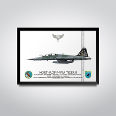 NORTHROP F-5FM TIGER II, FAB 4810, 1º/14º GAV - comprar online