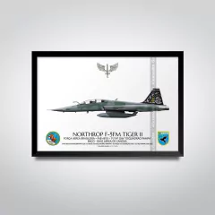 NORTHROP F-5FM TIGER II, FAB 4810, 1º/14º GAV - buy online