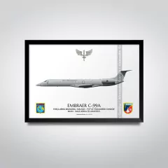 EMBRAER C-99A, FAB 2520, 1º/2º GT - comprar online