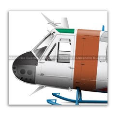 Bell 205 D/H Iroquois SH-1D, FAB 8530, 1º/8º GAV - Esquadrão Falcão na internet