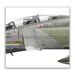MCDONNELL DOUGLAS F-4F PHANTOM II, GAF, S/N 72-1198, 37+88, JG-74. na internet