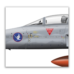 NORTHROP F-5N TIGER II, SWISS AIR FORCE, J-3038. na internet