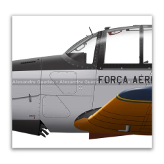 AFA 80 Anos, T-25 e T-27 com pintura comemorativa. en internet