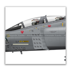 MCDONNELL DOUGLAS RF-4C PHANTOM II, USAF, S/N 64-1047, 117th TRW, 106th TRS. na internet
