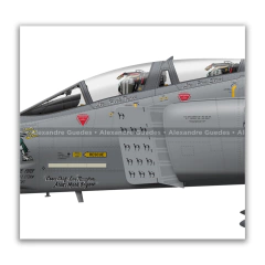 MCDONNELL DOUGLAS RF-4C PHANTOM II, USAF, S/N 64-1047, 117th TRW, 106th TRS. en internet