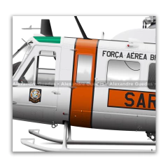 Bell 205 D/H Iroquois SH-1D, FAB 8535, 2º/10º GAV - Esquadrão Pelicano en internet