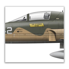 NORTHROP F-5E TIGER II, U.S. NAVY, BuNo 159880, FWS "TOPGUN". en internet