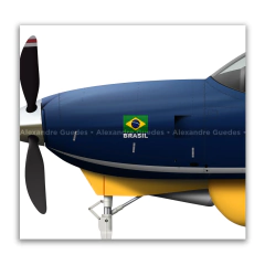 CESSNA 208B EX GRAND CARAVAN - PR-FPF on internet