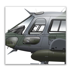 Helibrás HB-350B Esquilo / H-50, FAB 8786, 1º/11º GAV - Esquadrão Gavião en internet