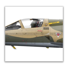 DASSAULT MIRAGE F-1 ED, FREE LIBYAN AIR FORCE, 518, Nº 1012, SQUADRON. en internet