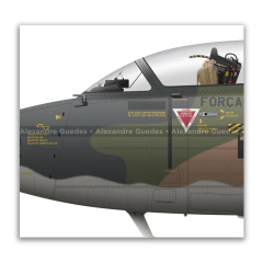 AERMACCHI/EMBRAER, AT-26 XAVANTE, FAB 4462, CENTAURO en internet