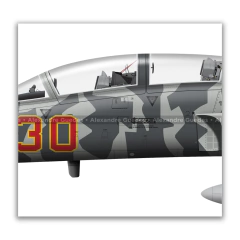 NORTHROP F-5F TIGER II, U.S. NAVY, BuNo 800456, AF 30, VFC-13. en internet