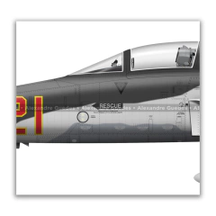 NORTHROP F-5E TIGER II, U.S. NAVY, BuNo 160792, AF 21, VFC-13. en internet