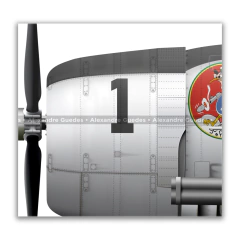 AÉROSPATIALE FOUGA CM.170/T-24 "MAGISTER", FAB 1722, EDA - (cópia) on internet