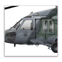 Sikorsky H-60L Black Hawk, FAB 8907, 2º/10º GAV, Esquadrão Pelicano - Art In Profiles - Os melhores Posters de Aviação