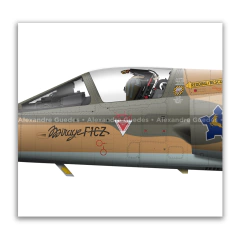 DASSAULT MIRAGE F-1JA, FAE, 807, ALA DE COMBATE 21, ESCUADRÓN DE CAZA 2112 - (cópia) on internet