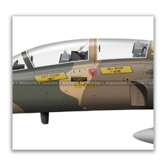 NORTHROP F-5F TIGER II, U.S. NAVY, BuNo 160965, 47, FWS "TOPGUN" en internet