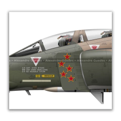 MCDONNELL DOUGLAS F-4D PHANTOM II, USAF, S/N 66-7463, TRIPLE NICKEL en internet