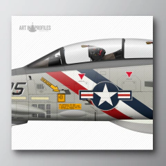 Poster F-14A Tomcat | Os Pioneiros do VF-2 "Bounty Hunters" - Art In Profiles - Posters e Livros sobre Aviação