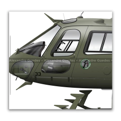 Helibrás HA-1 AS-550 A2 FENNEC AvEx, EB 1033, 3º BAVEX en internet