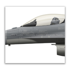LOCKHEED MARTIN F-16C BLOCK 50 - FACH 856 en internet