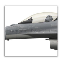 LOCKHEED MARTIN F-16C BLOCK 50 - FACH 856 na internet