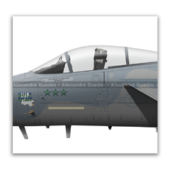 McDonnell Douglas, F-15C Eagle, S/N 85-0102, USAF en internet