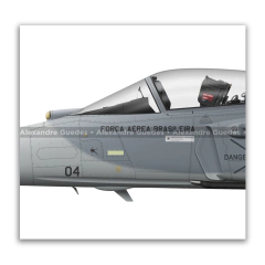 SAAB F-39E Gripen, FAB 4104, 1º GDA en internet