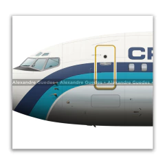 Boeing 737-200, PP-CJO, Cruzeiro do Sul - Art In Profiles - Posters e Livros sobre Aviação
