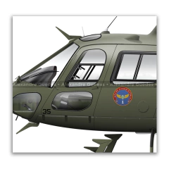 Helibrás HA-1 AS-550 A2 FENNEC AvEx, EB 1035, 1º BAVEX en internet